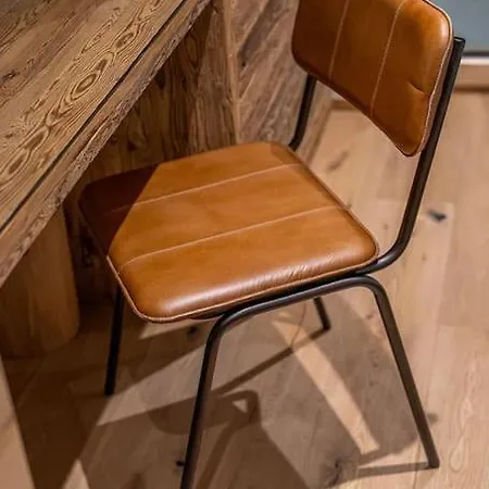 Stylish Daire Saas Fee