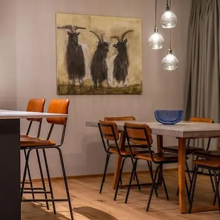 Stylish Apartament